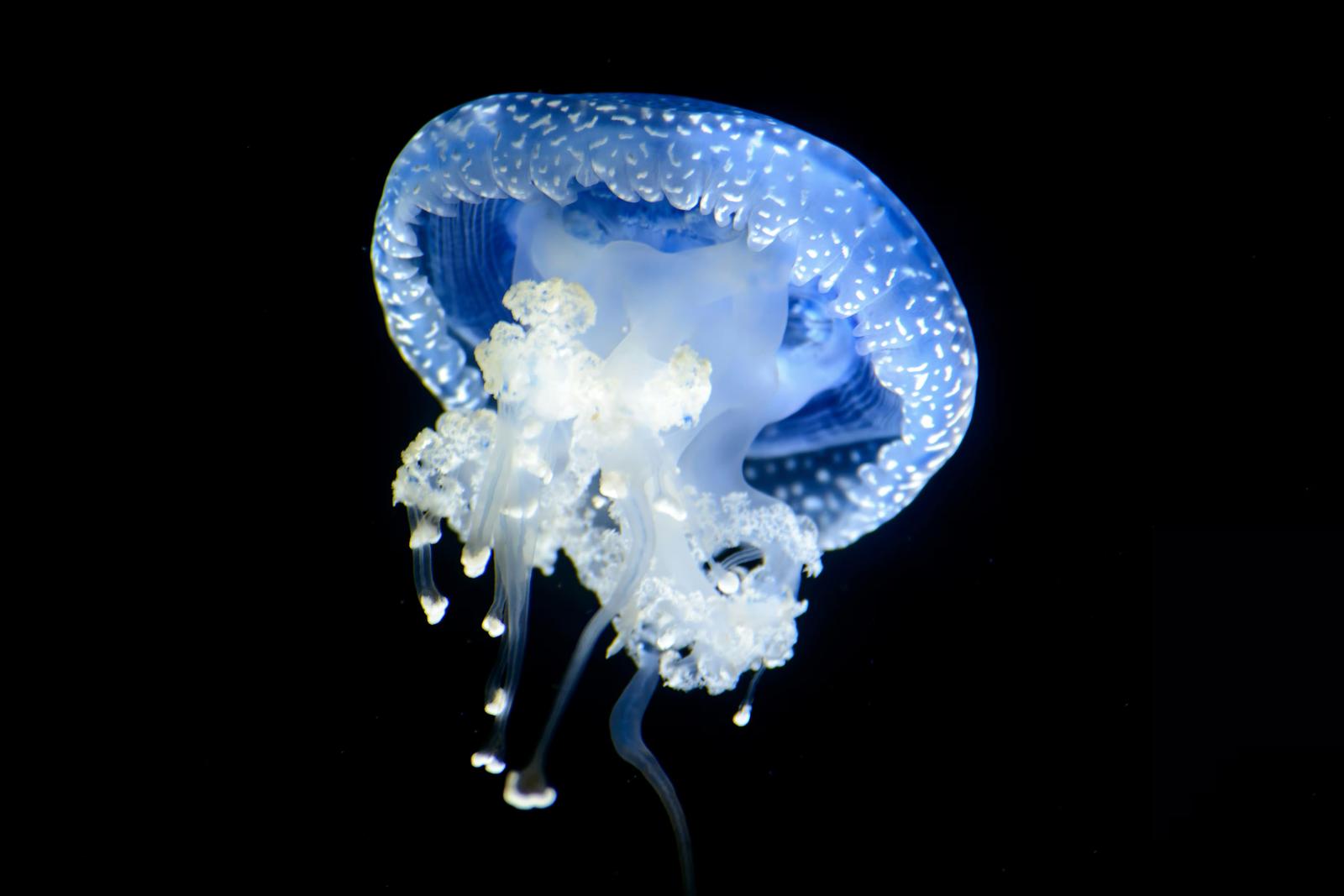 記事アイキャッチ