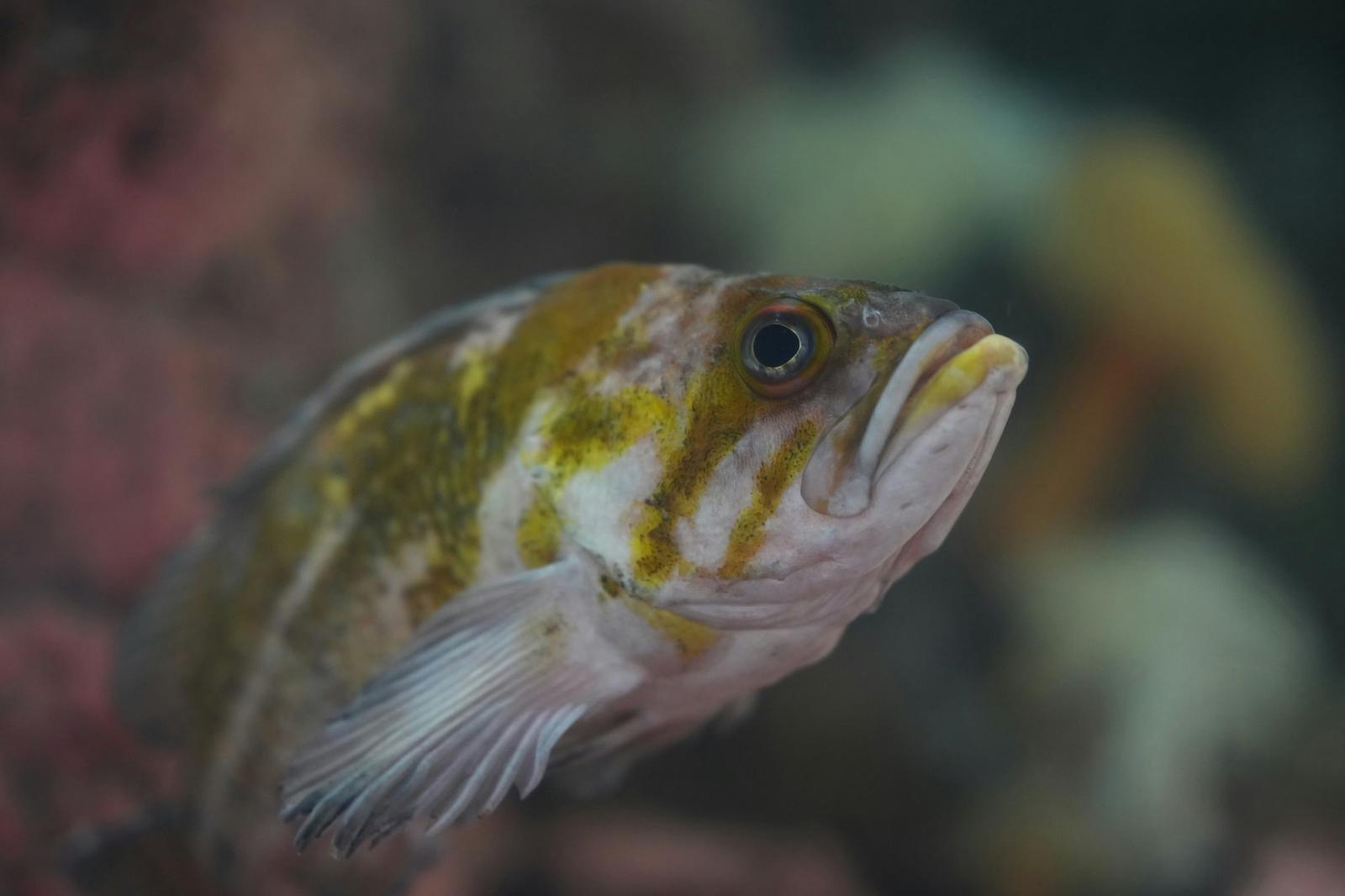 記事アイキャッチ