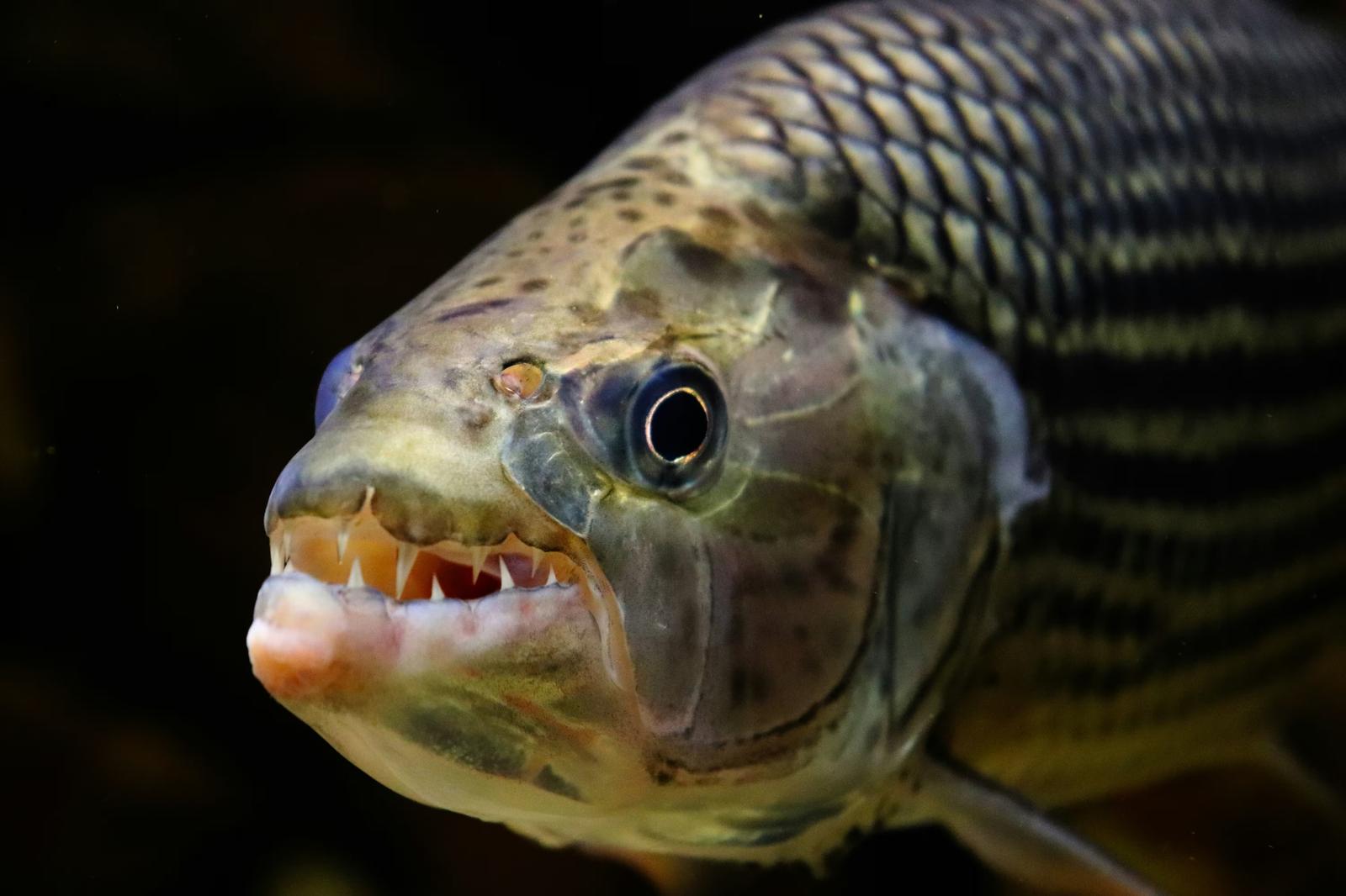 3-3：消費者との信頼構築とブランド価値向上