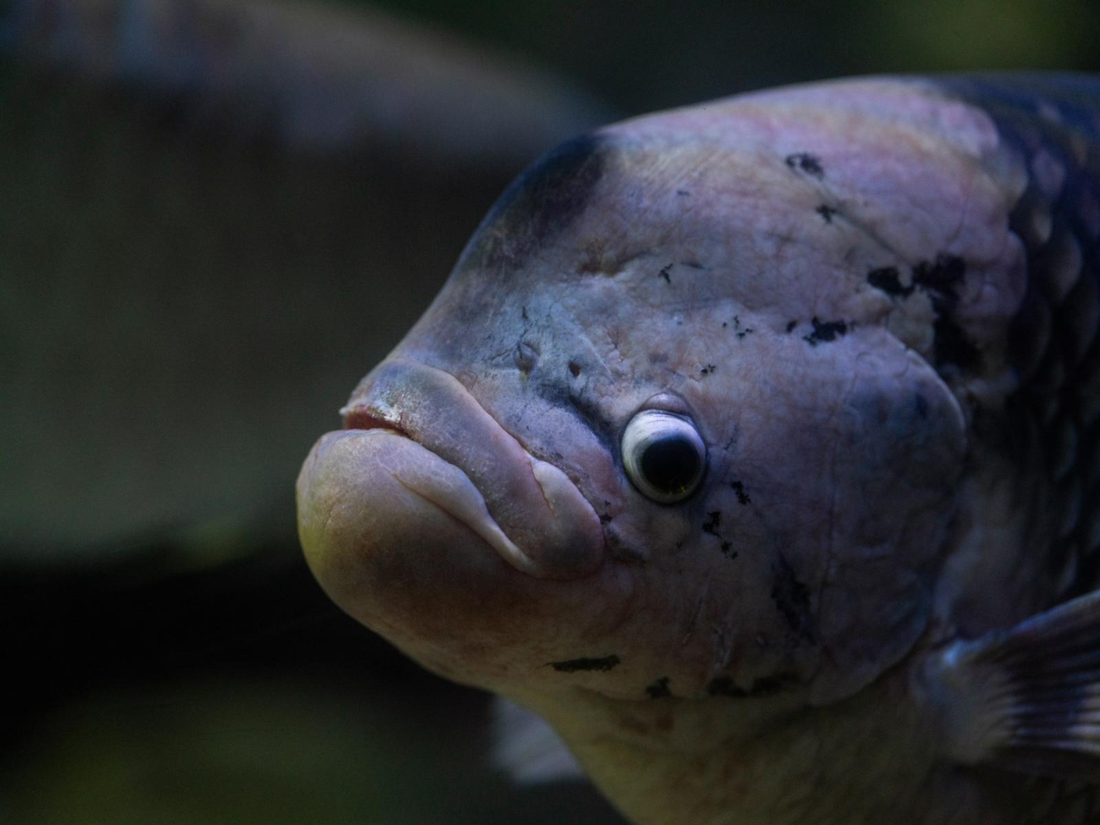 3-3：消費者との信頼構築とブランド価値向上