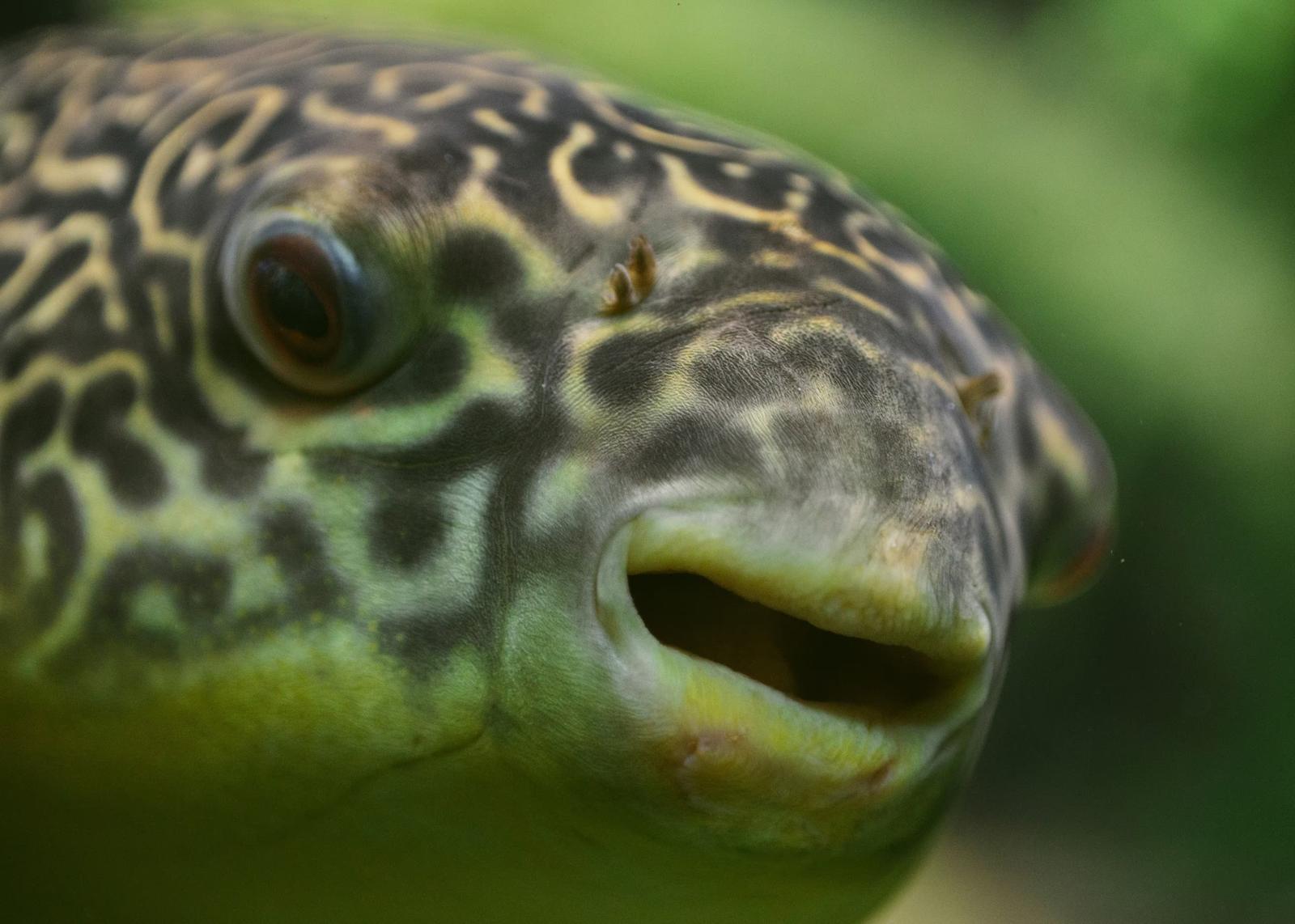 3-3：消費者との信頼構築とブランド価値向上