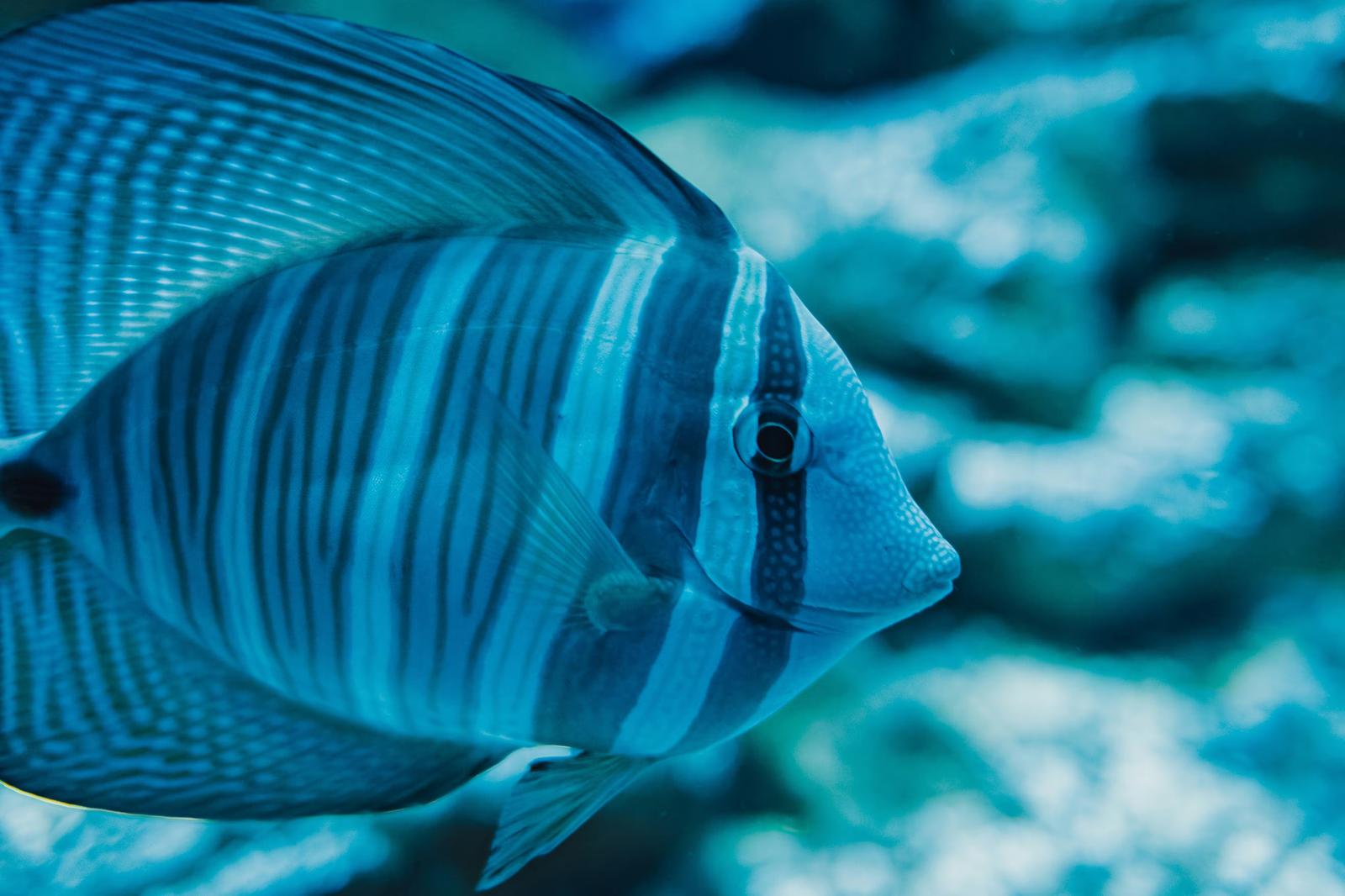 記事アイキャッチ