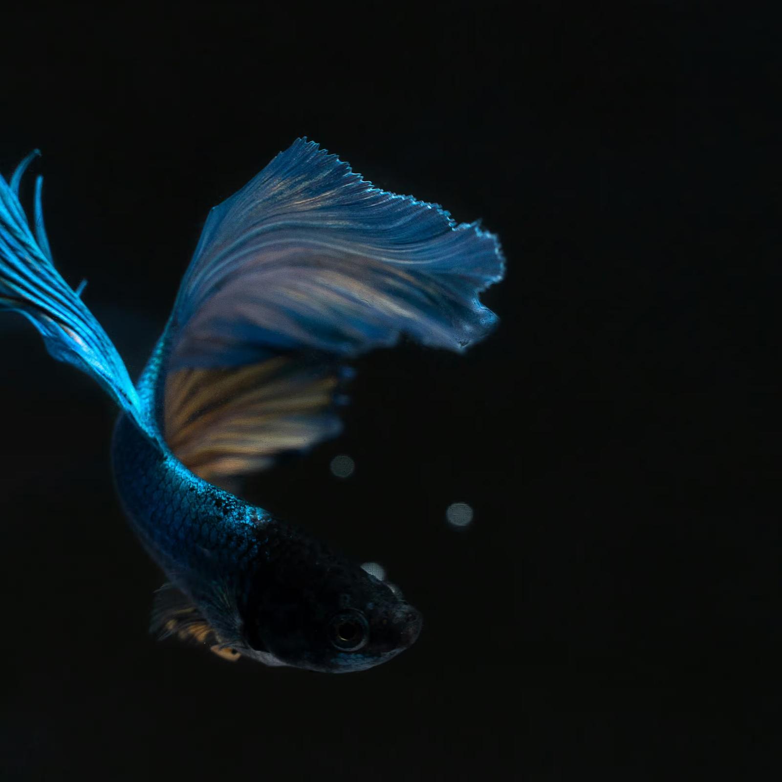 ISO 14040/14044 をわかりやすく解説 | LCA 国際標準の原則と要求事項