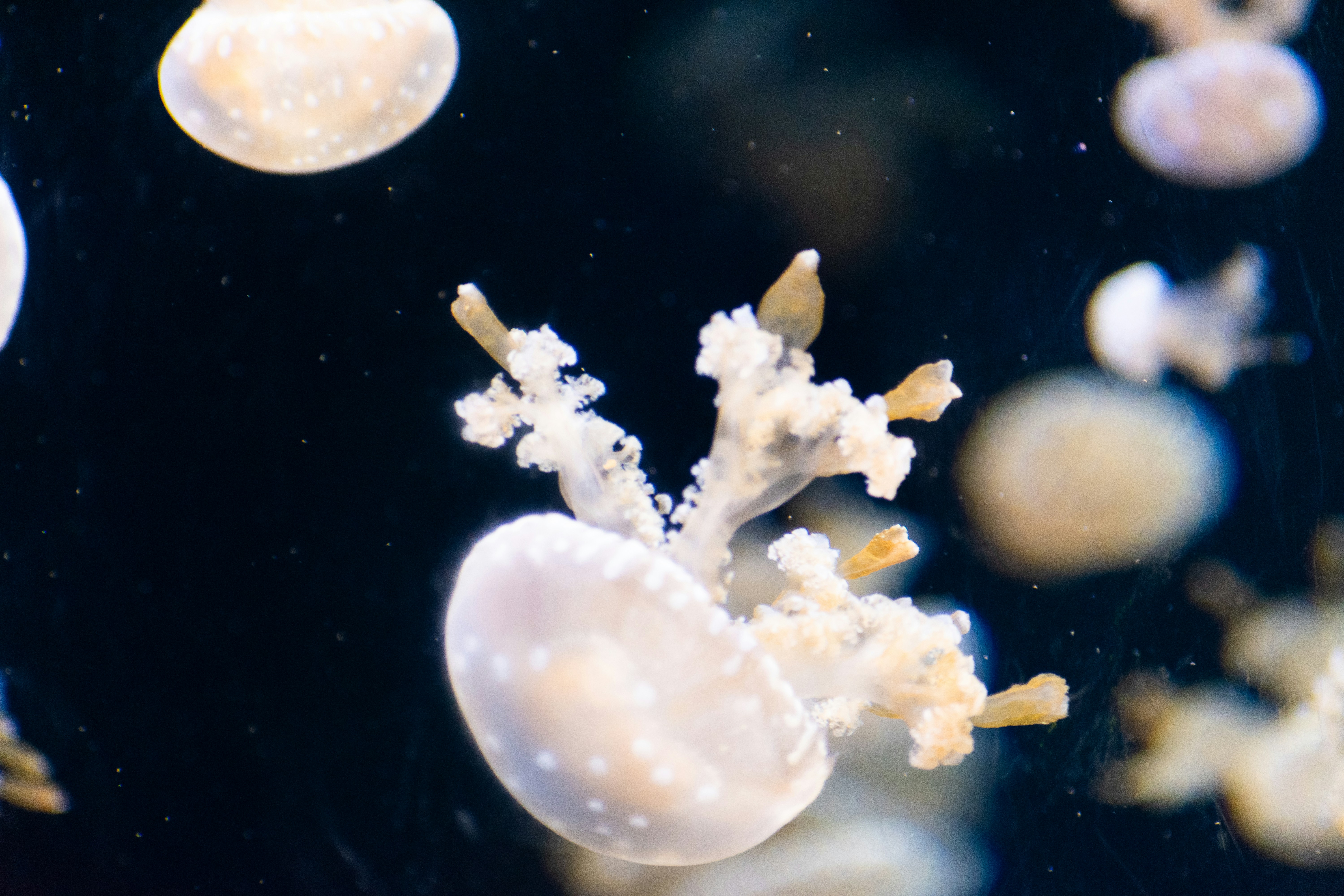 会社の紹介イメージ